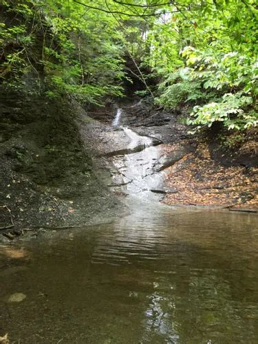 Best Hikes and Trails in Canandaigua | AllTrails