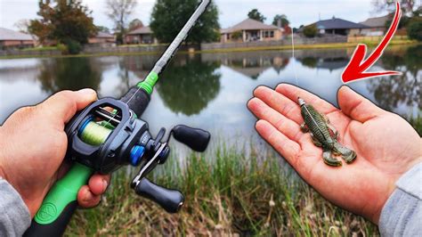 URBAN CITY Pond Hopping For BIG Bass YouTube