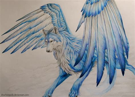 Wolf with wings by Drachenseele on DeviantArt