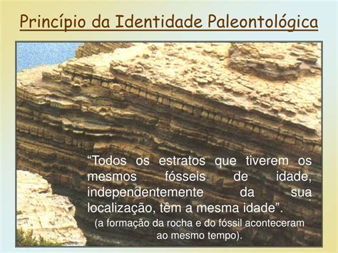Vestígio Mineralizado De Ser Vivo Antigo - PPT - Fóssil é um resto, marca ou vestígio de um ser vivo do passado ...
