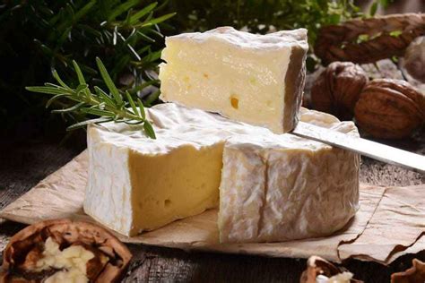 Blue Stilton: A Guide To the "King of Cheese" - Nutrition Advance