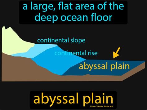 Abyssal Plain | Easy science, Earth science, Continental shelf