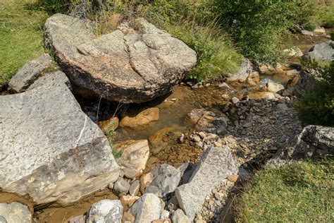 Calotriton Asper Pyrenean Brook Salamander Habitat Pie Flickr