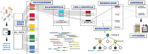 宏基因组测序病原微生物检测生物信息学分析规范化管理专家共识解读临床实验室期刊文章检验视界网