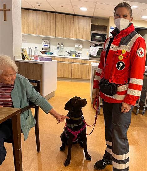 Januar Rettungshundestaffel Zu Besuch Im Haus Teresa