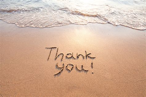 Thank You Gratitude Concept Beautiful Card Stock Photo - Download Image ...