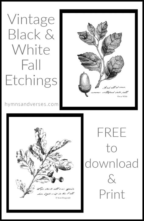 Black and White Vintage Botanical Etchings for Fall | Hymns and Verses