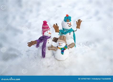 Mu Ecos De Nieve Lindos Que Se Colocan En Paisaje De La Navidad Del