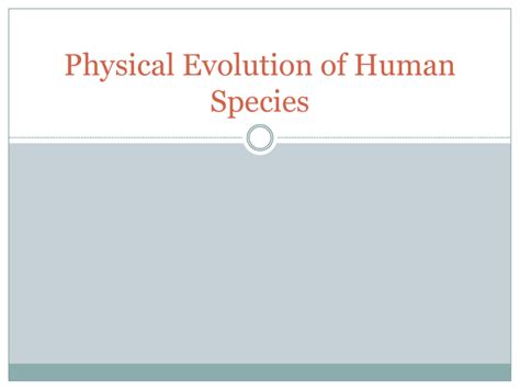 Human Evolution Species