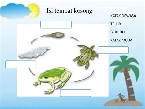 Dunia Sains Dan Teknologi Belajar Dengan Ceria Dst Tahun 2 Kitar