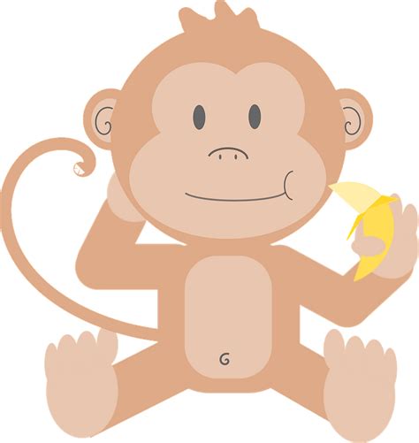 Cute Monkey Eating Banana Free Vector Clipart Images On