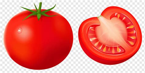 Ilustraci N De Tomate Tomate Cherry Tomate Azul Tomate Alimentos