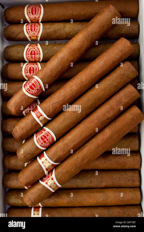 Romeo y Julieta Cuban cigars Stock Photo - Alamy