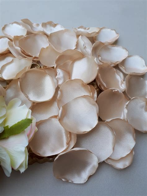 Champagne Rose Petals Champagne Flower Petals Champagne Etsy