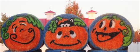 My Enchanted Home: Hill Ridge Farms Pumpkin Festival