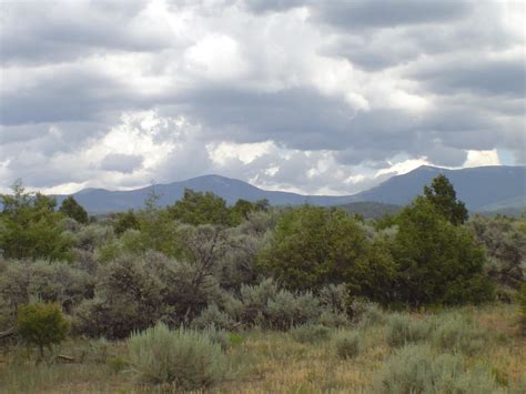 Nm Road 77, Truchas, NM 87578 | Trulia