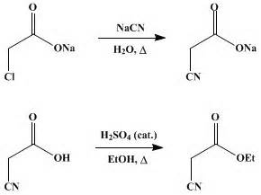 Organic Syntheses Procedure