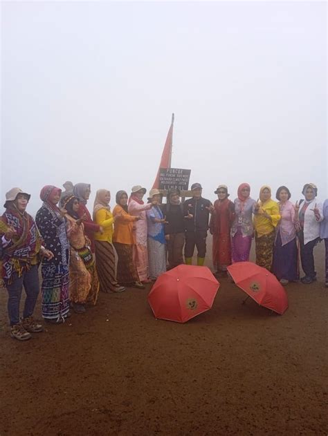 Épinglé par STONES ADV sur Penanaman Pohon Gn Pundak