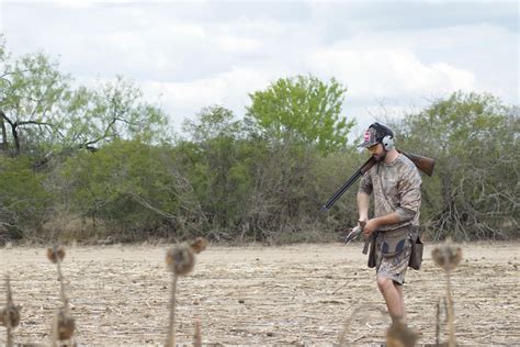 The Best Dove Guns in Every Gauge | Outdoor Life