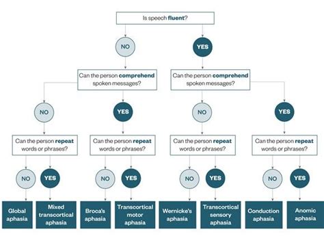Aphasia Types Chart