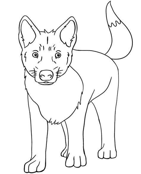 Dingo dog coloring page to print