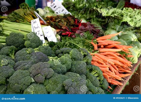 Farmer s Market Veggies stock image. Image of vegetables - 4932621