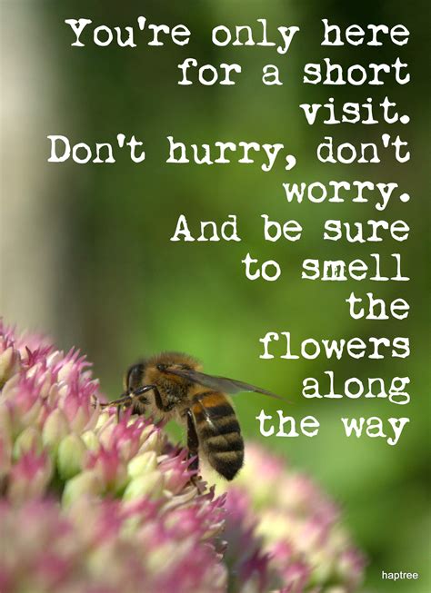 Haptree Craftbloguk Haptree Flower Quotes Garden Quotes Bee Quotes