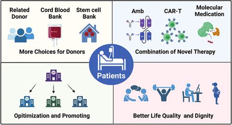 The Future Of Allo Hsct Allo Hsct Allogenic Hematopoietic Stem Cell Download Scientific