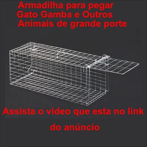 Armadilha Grande Gatoeira Para Gato E Gamba Frete grátis