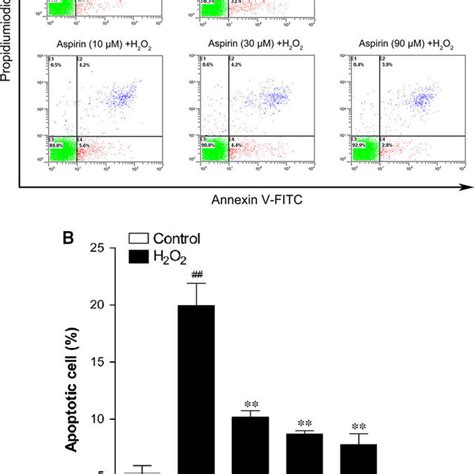 Inhibitory Effect Of Aspirin On H2o2 Induced Apoptosis In Primary Human