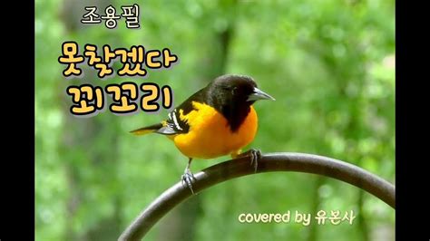 못찾겠다 꾀꼬리 조용필 Covered By 유본사 No173 Youtube