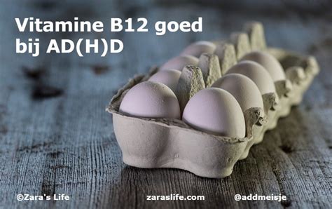 Vitamine B12 Goed Bij Ad H D Zaras Life