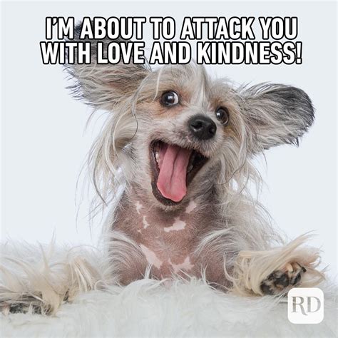 20 Kindness Memes That Spread Cheer — Funny Memes About Kindness