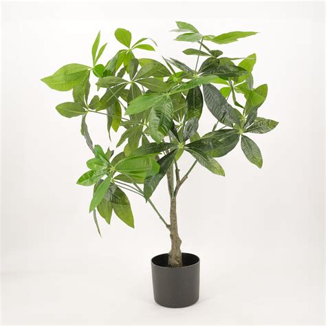 Artificial Fortune Money Tree Plant 75cm Home And Garden Decor