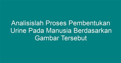 Analisislah Proses Pembentukan Urine Pada Manusia Berdasarkan Gambar