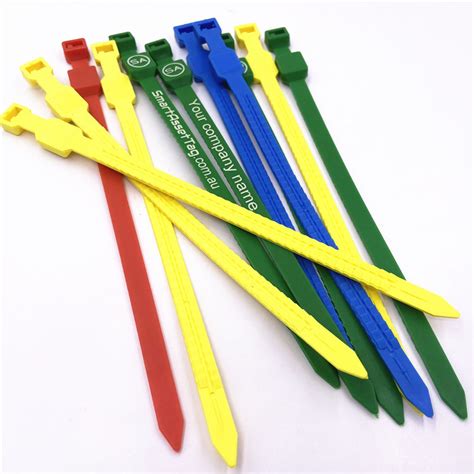 Waterproof Custom Printed Self Locking Nfc Zip Tie Nylon Rfid Cable Tie