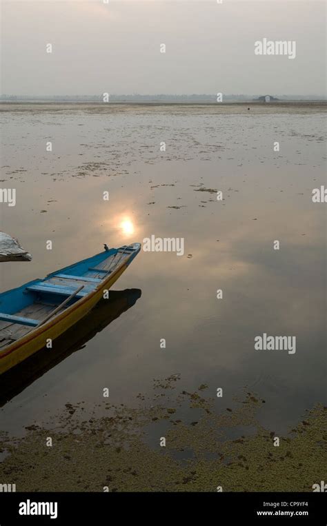 Floating market for fruits, flowers and vegetables, Dal Lake, Srinagar ...