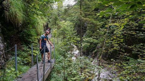 Pinegg Kaiser Gorge Alpbachtal