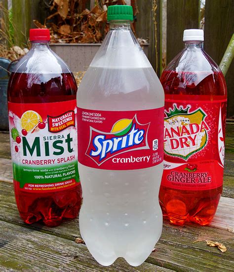 Cranberry Sprite Drink Recipes | Besto Blog