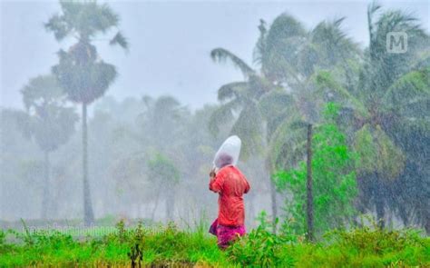 Heavy Rains To Lash Kerala For Next 5 Days Yellow Alert In 8 Districts