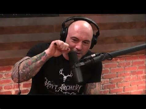 Joe Rogan On The Mel Gibson Podcast YouTube