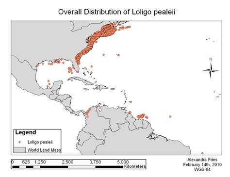 Overall Distribution of Loligo pealeii | Download Scientific Diagram