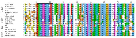 Viruses Free Full Text A Fusion Peptide In The Spike Protein Of