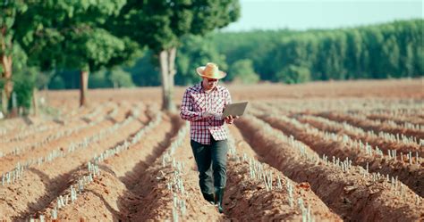 Um Agricultor É Informado - jovem agricultor verificando e coletando dados no laptop 2863444 Vídeo ...