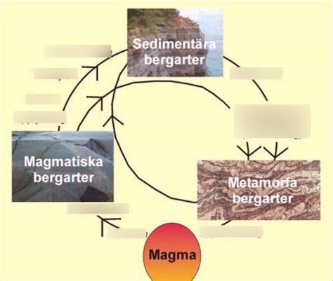 Bergartscykeln Diagram Quizlet