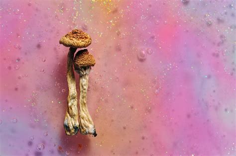 This New Psilocybin Alternative Provides Deep Healing Without The Trip - RYZE Superfoods