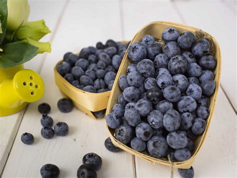 Bilberry - health benefits and therapeutic value