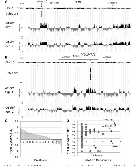 Figure From Effect Of Minichromosome Maintenance Protein Deficiency