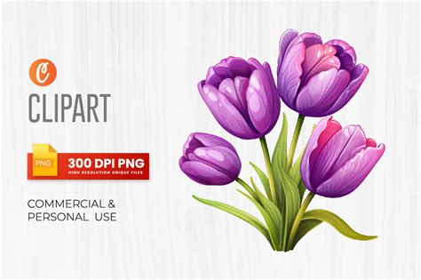 Watercolor Tulips Flowers Clipart Bundle Graphic By Graftify Creative