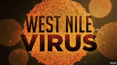 First Human Infection Of West Nile Virus In Idaho This Year